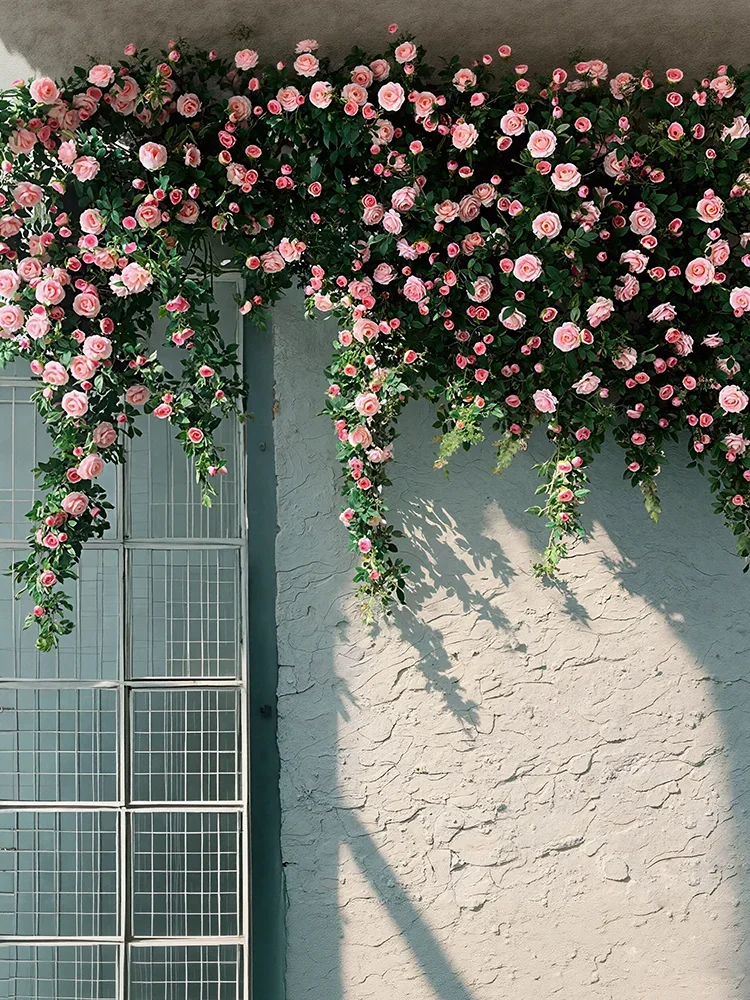 Simulated Internet celebrity rose vine landscaping clock in background wall