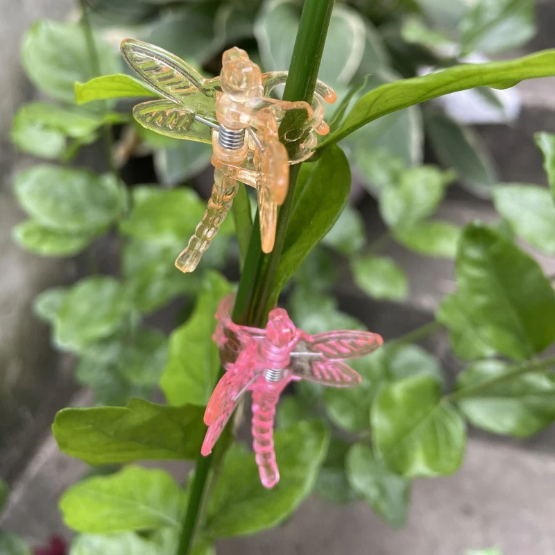 Y 5PCS Ornamental Clips Mixed Orchid Clips Reusable Plastic Garden Plant Dragonfly Clamps For Support Flower Vine DIY Decoration