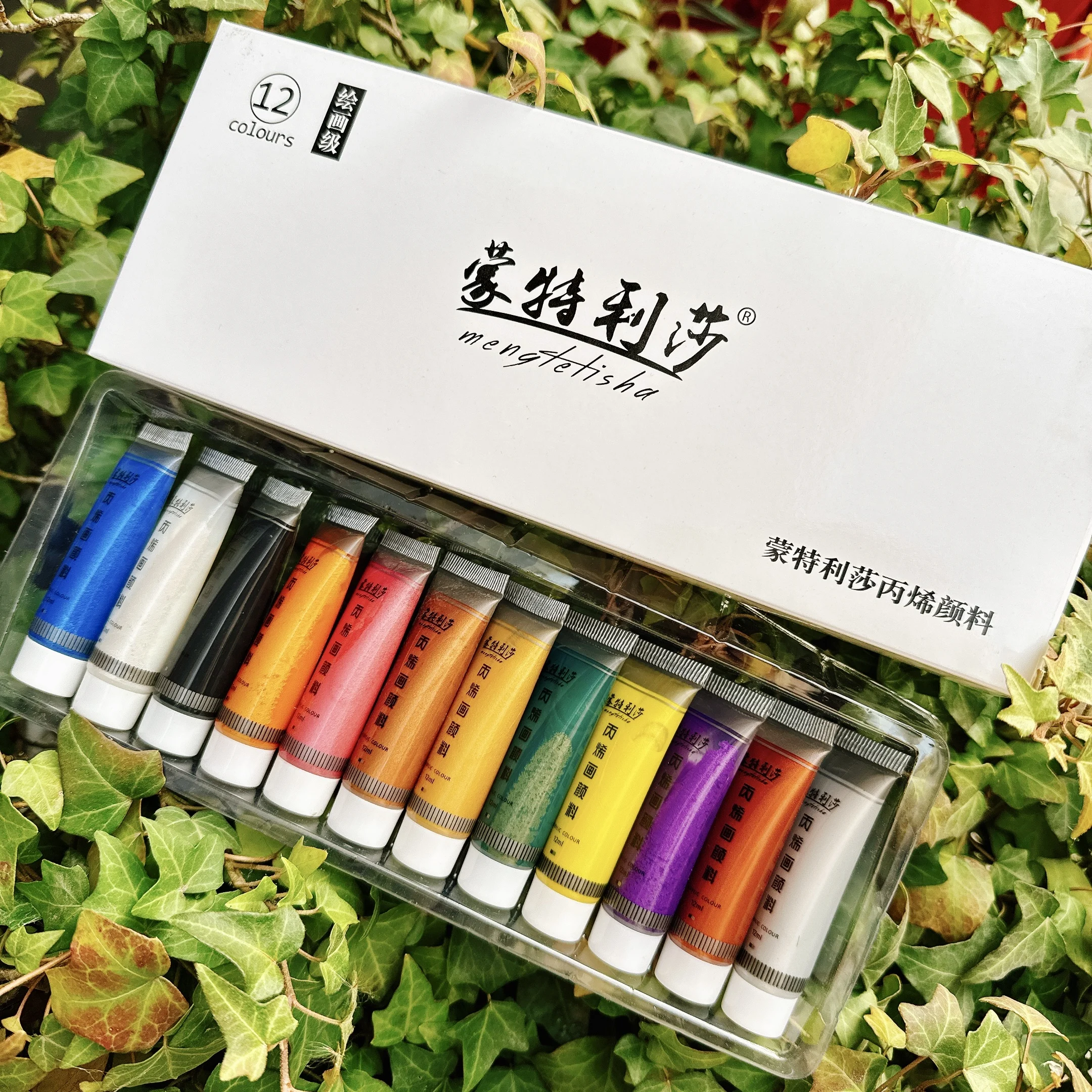 مجموعة أصباغ أكريليك بيرليسسينت 12 مللي * 12 لونًا ألوان أكريليك معدنية دهانات يدوية ذهبية طلاء فضي مقاوم للماء