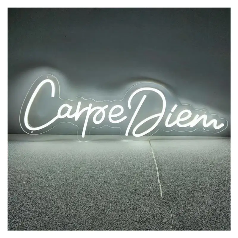 carpe-diem-neon-sign-light-for-wall-hanging-decor-for-club-party-shop-home-bedroom-birthday-illuminated-lamp-1654inx579in