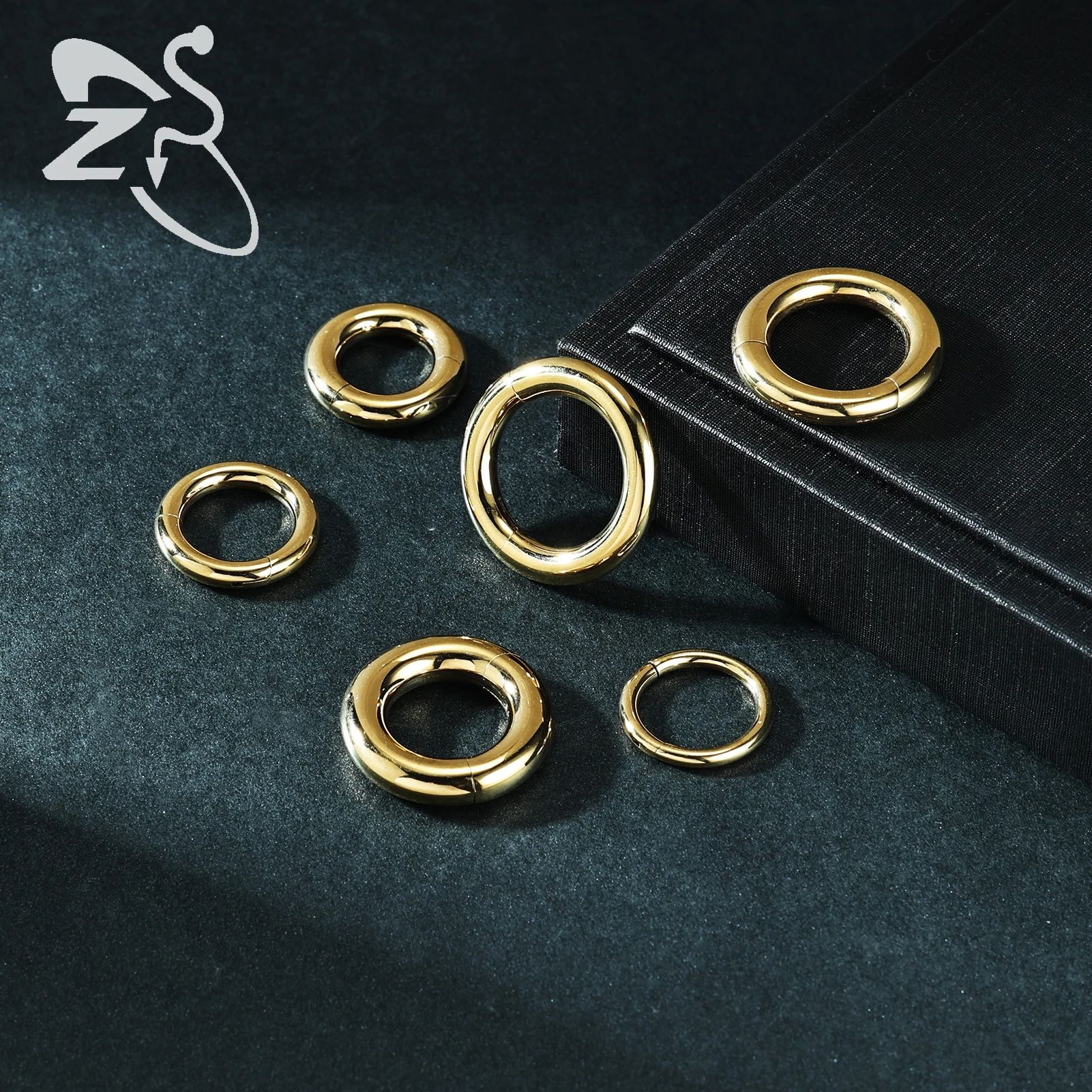 ZS 1PC G23 Titanium Hoop Earring for Women Gold Plated Circle Earring Large Gauge Nose Ring 2G/4G/6G/8G/10G/12G Punk Earrings