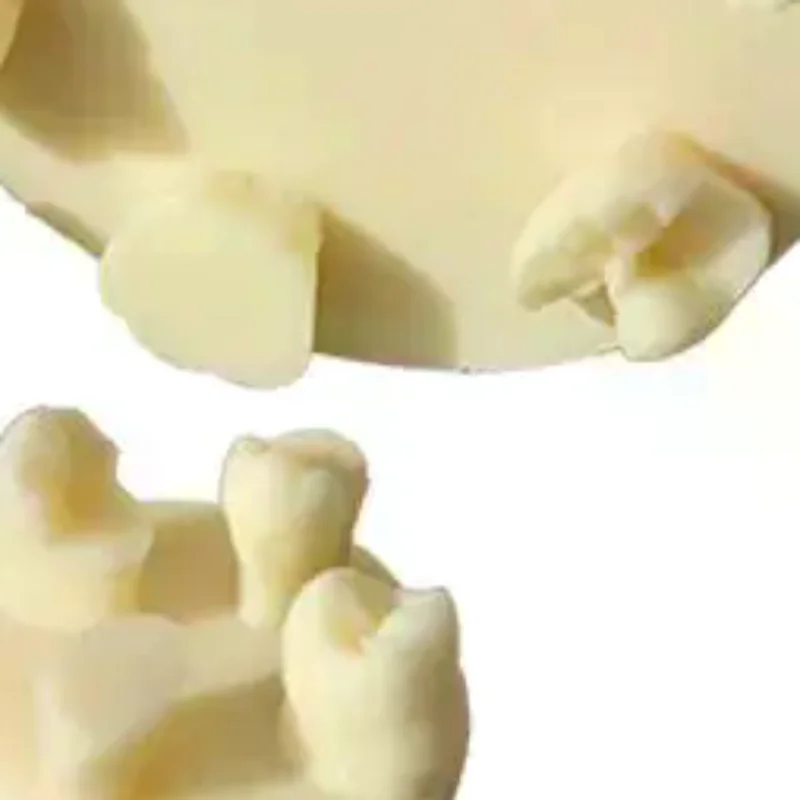 1PCS Resin Tooth Morphology Practice Model Root Canal Filling Inlay Resin Module For Dental Teaching Training Resin Model Tool