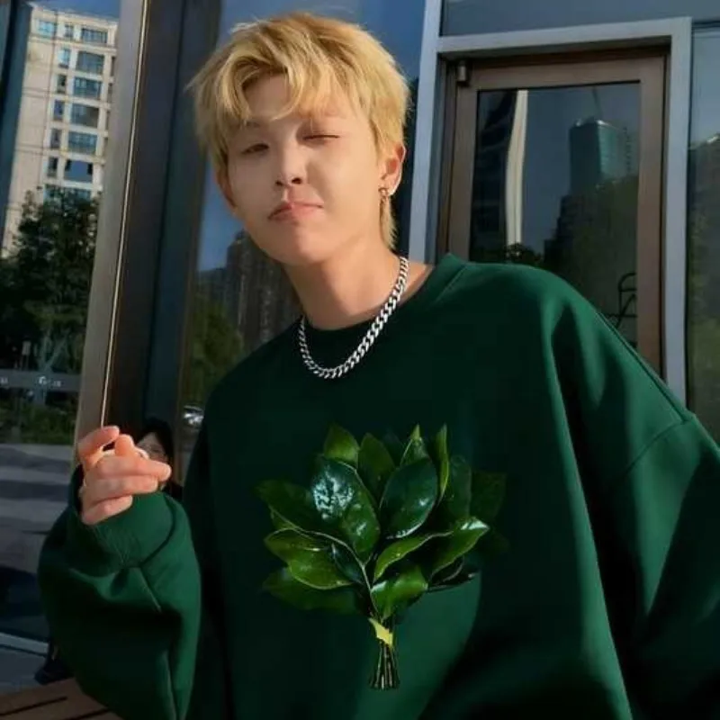 نقل أوراق الجريب فروت الكورية نمط كسول البلوز فضفاض كبير الحجم قميص رياضي الخريف الشتاء الدافئة أعلى ستار الزي #6