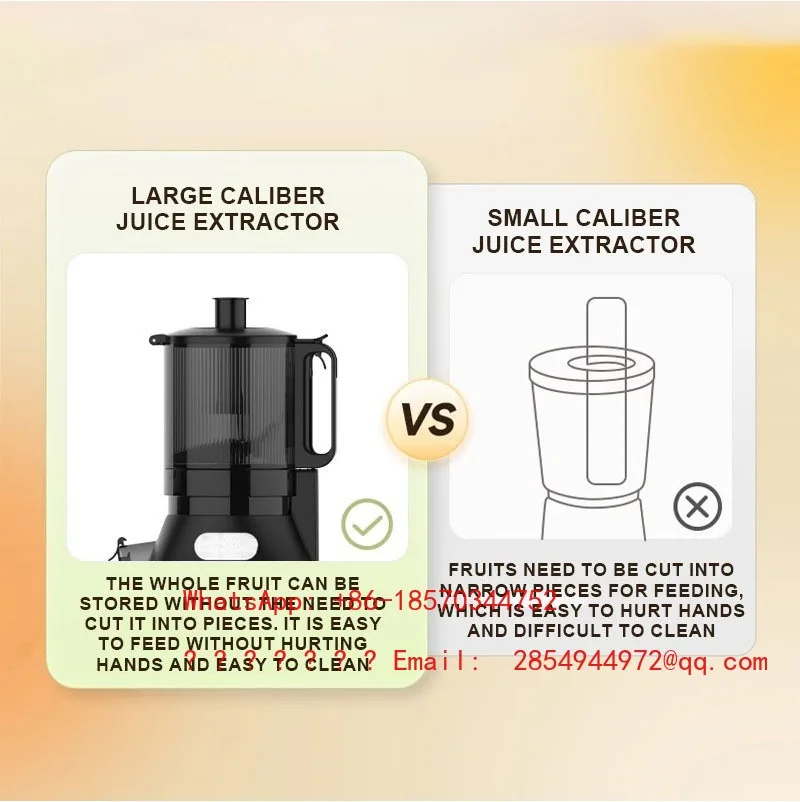 European Specification Large-diameter 14cm Household Juicer for Slow Juicing, Multifunctional
