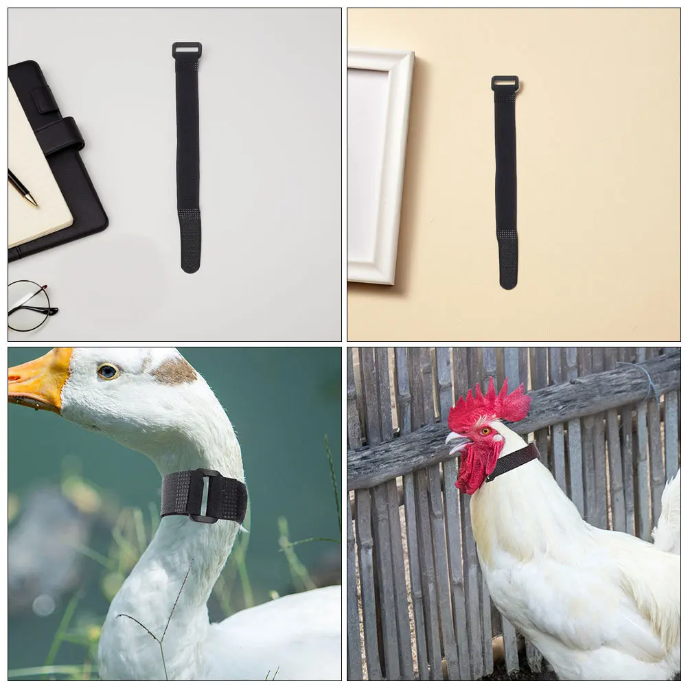 

2Pcs Anti Crowing Collar for Roosters Durable Nylon Noise Control Easy to Use Adjustable Neckband for Poultry Pet Neck Belt