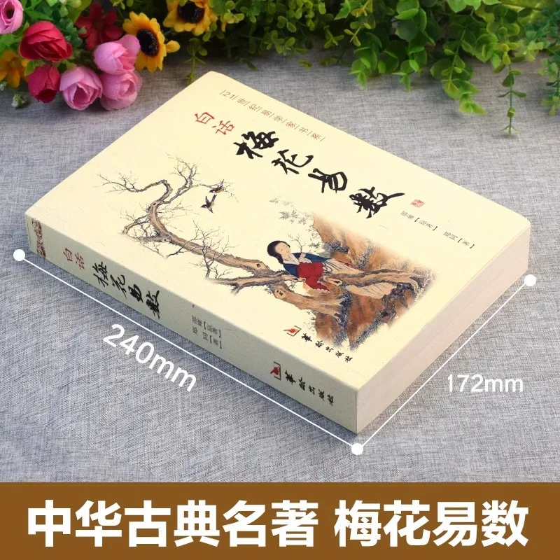 The Easy Counting of Plum Blossoms in Vernacular Language, Original Chinese Philosophy Book of Changes By Shao Yong
