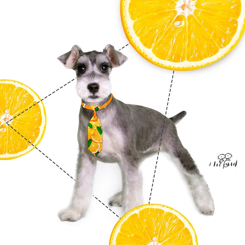 10pcs Dog Tie Small Dog Gromoong Accessories Pet Dog Cat Bowties Neckties Small Dog Puppy Bow Tie Pet Supplies For Small Dogs