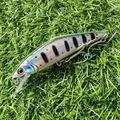 SW65 1PC