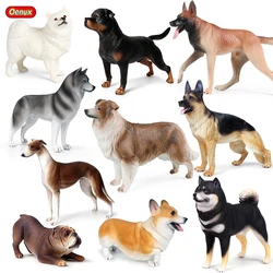 Oenux Big Size Dogs Model Border Collie Great Dane Samoyed Bulldog  Shiba Inu Pet Action Figures High Quality Home Decor Kid Toy