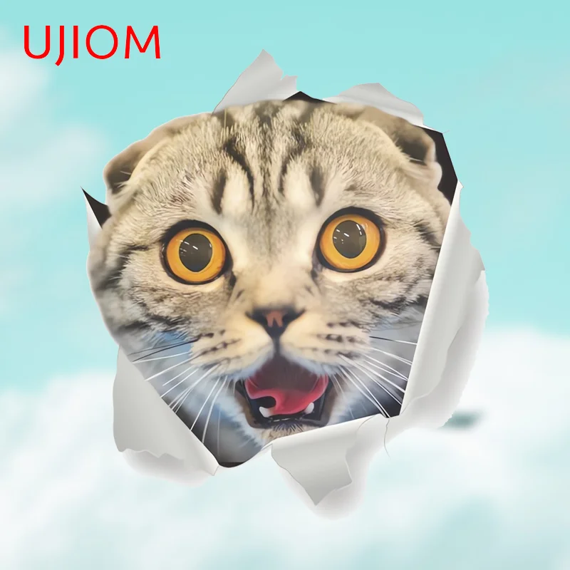 UJIOM Creative Animals Cat Decal Scratch-Proof Wall Sticker Sunscreen Windows Balcony Staircase Dress Up Closestool Decor