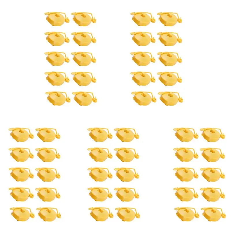 A04G-Plant Yoyo Gro…