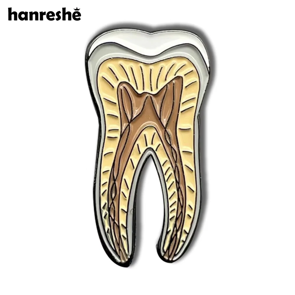 Hanreshe Dental Medical Brooch Pins Anatomy Biology Tooth Dentist Jewelry Accessories Lapel Badges for Doctors Nurses Gifts