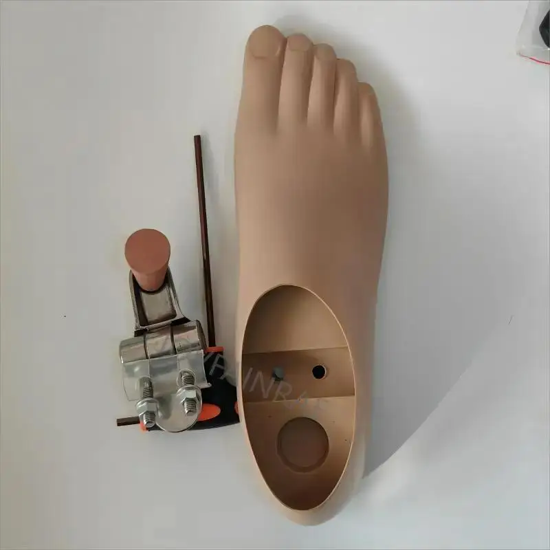 Prosthetic Foot Plate Double Hole Movable Ankle Polyurethane Residual Limb Leg Toe Pinky Replacement Stump Accessories New Style