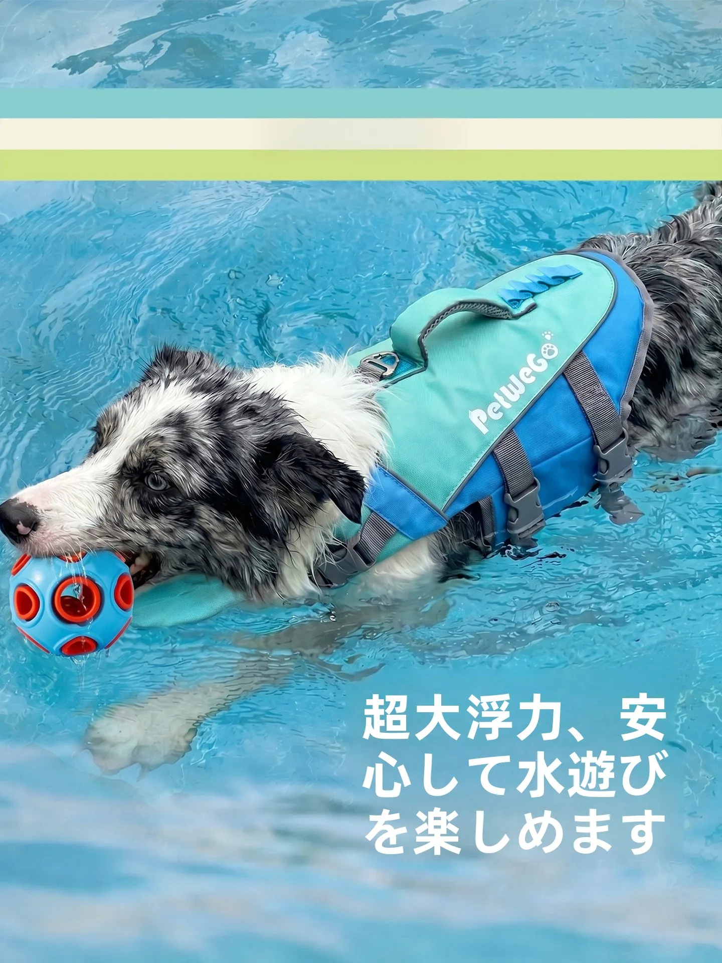 petwego-dog-life-jacket-waterproof-buoyancy-vest-summer-swimming-suit-medium-to-large-dogs-pet-safety-outdoor-casual-sporty