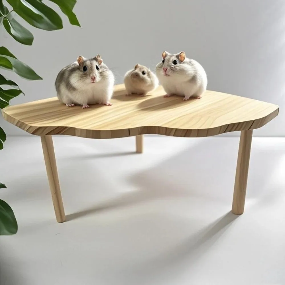 

Wooden Hamster Play Platform Chew-Resistant Easy to Install 2 Layer Playground Cage Accessory Small Pet Playing Stand