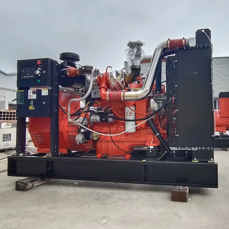 Long Service Life 100kW 120kW 150kW 200kW 250kW Silent Canopy Natural Gas Generator/ Biogas /LPG Generator with ATS Customized