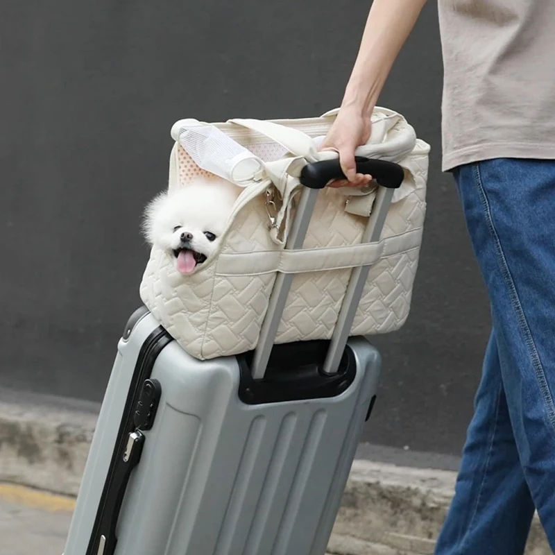#11 New Puppy Car Seats Arrivals