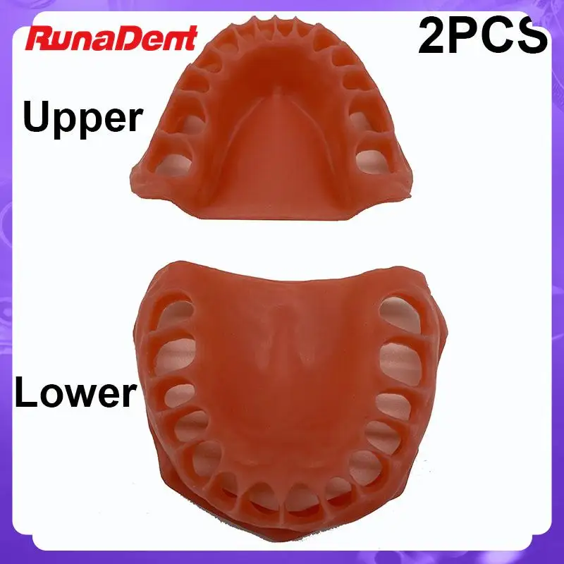 

2Pcs Dental Upper/lower Simulated Gums Gum Model Dentisit Student Learning Teaching Model