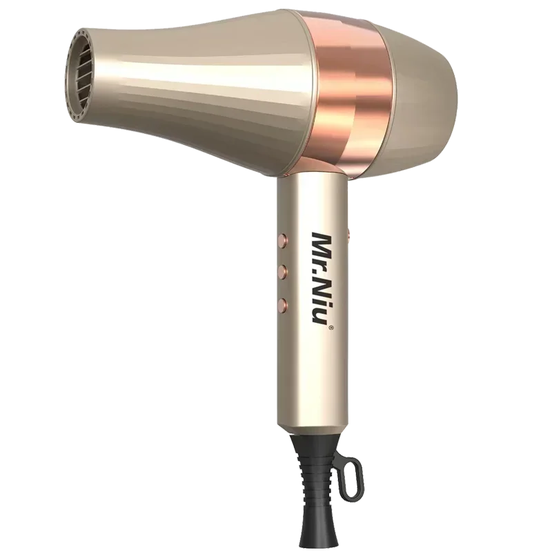 Professional Ionic Hair Dryer | Powerful Blow Dryer with Fast Heating, Hot & Cold Settings, Air Collecting Design