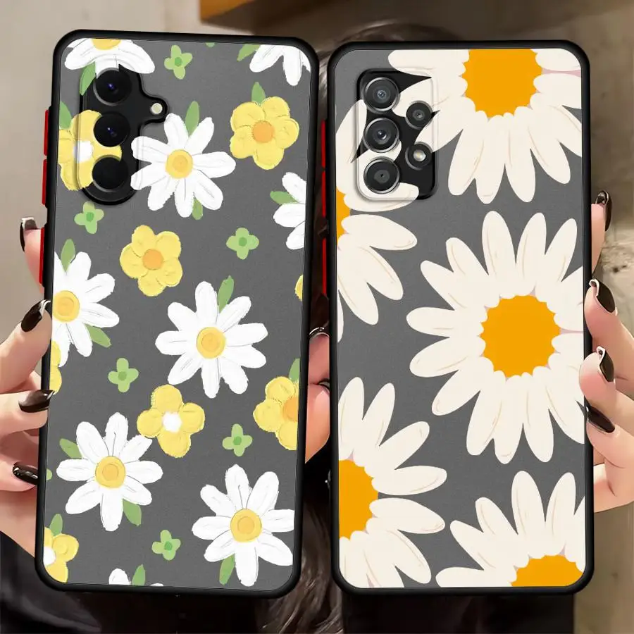 Chrysanthemum Flowe… - image