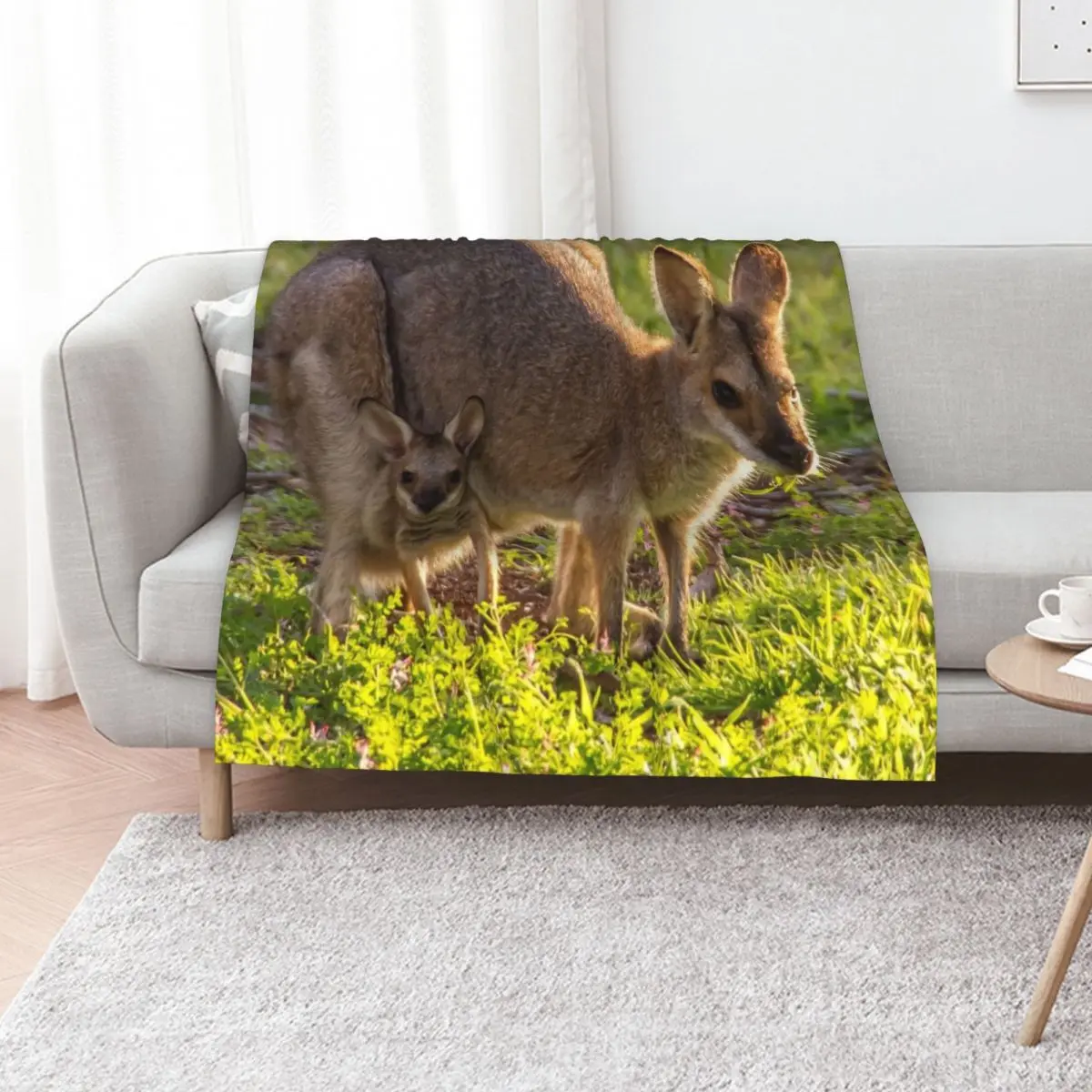 Kangaroo Throw Blanket Cute Plaid Furry For Baby Soft Multi-Purpose Summer Beddings Blankets