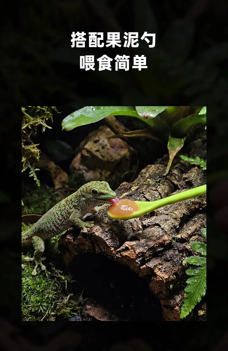 Crested Gecko Food Dish Smooth Matcheds Eyelash Cornkeeping Uterine Food Bowl Set Feeding Spoon For Small Pets ​