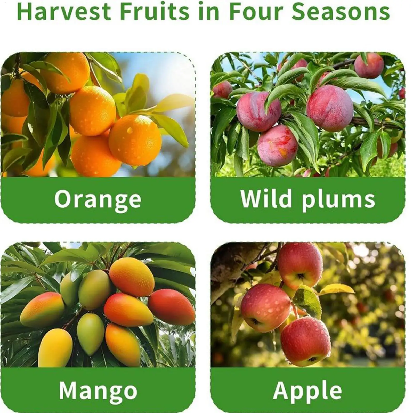 

Fruit Picker Pole Telescoping Harvesting Equipment 3.3-13ft Adjusting Fruit Picker For Mango Lemon Orange Pear Cherry Farm