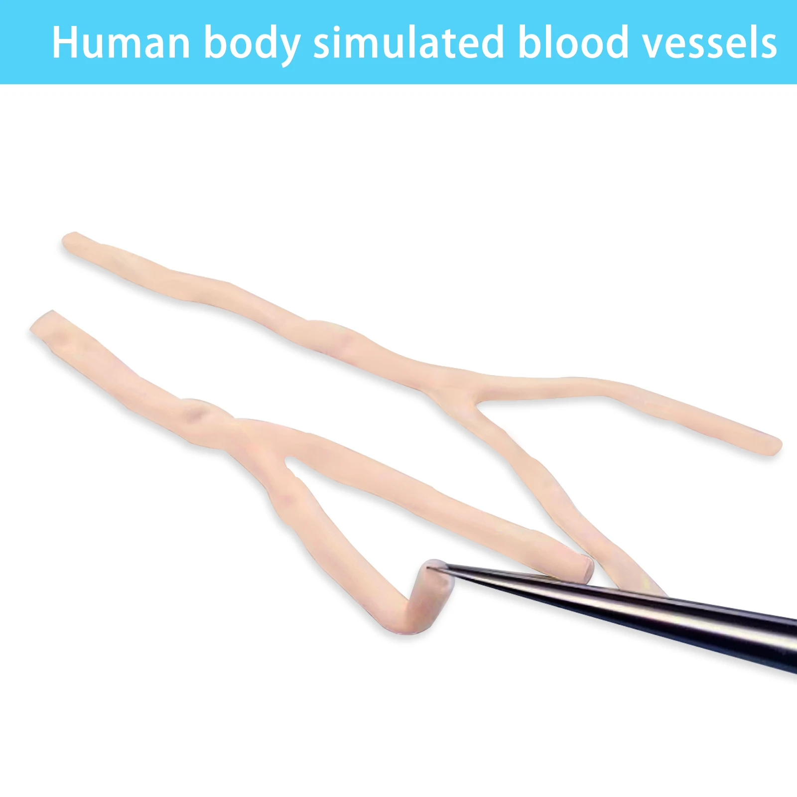 Artificial blood vessel Y -TYPE Unveiling the Versatility of trifurcated vascular Simulater Exploring Vascular Complexity