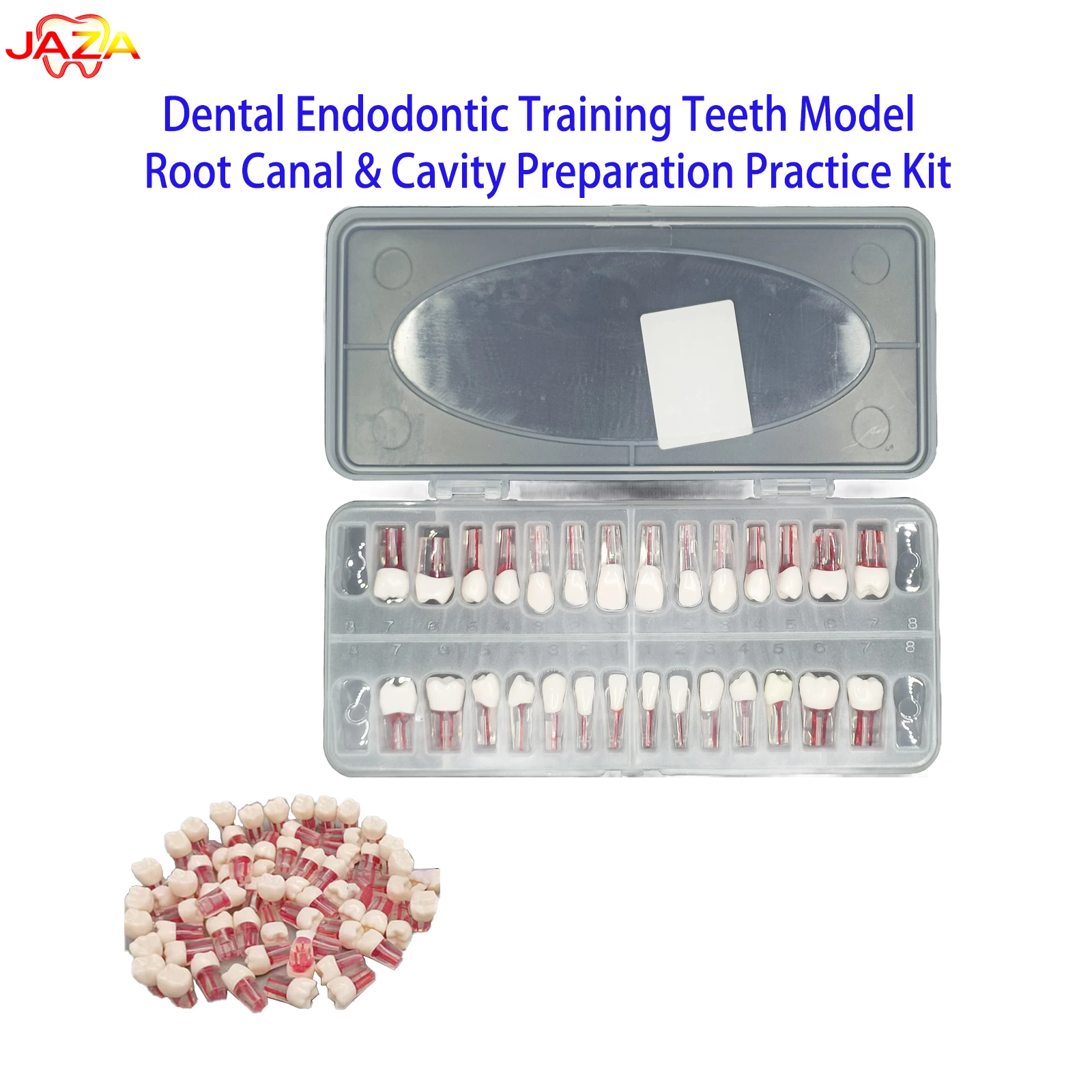 

Набор из 28 моделей зубов из полимерной смолы для сверления, с прозрачным корнем и красной пульпой, для симуляции стоматологического осмотра и практики эндодонтического обучения