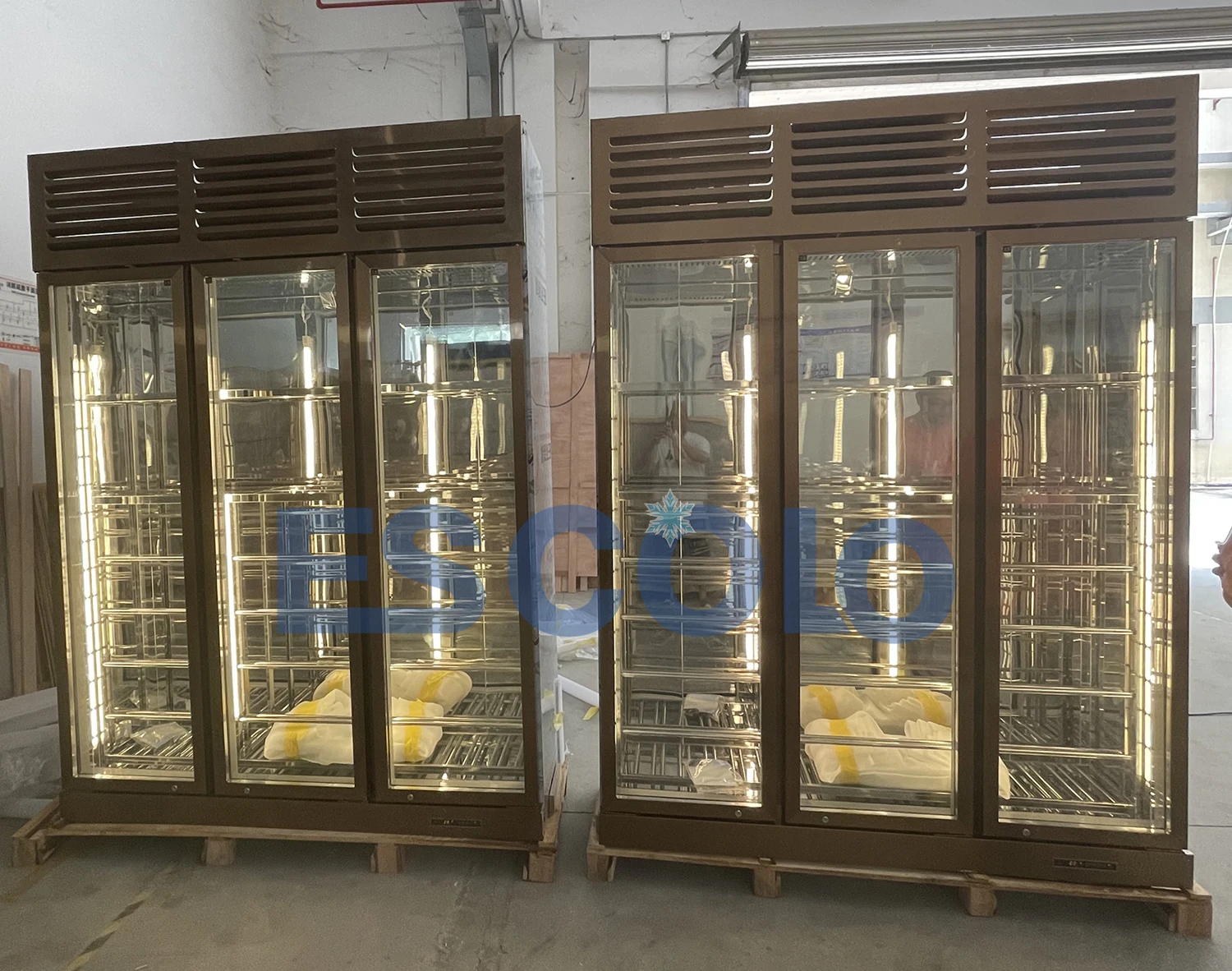 Wine Cooler Cabinet for Commercial Use with Precise Temperature Control Ideal for Red Wine Storage in Bars and Restaurants