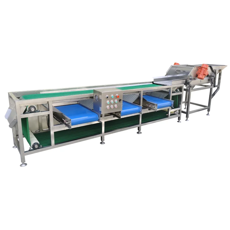 Fruit Vegetable Sorting and Grading Machine - Drum Type Grader for Potato, Tomato, Citrus, Onion Size Classification