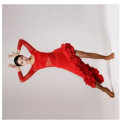 

Latin Dance Competition Dresses Black/Red/Purple/Leopard Latin Party Dresses Top/Skirt/Suit Cha Cha/Rumba/Tango Dance Dress