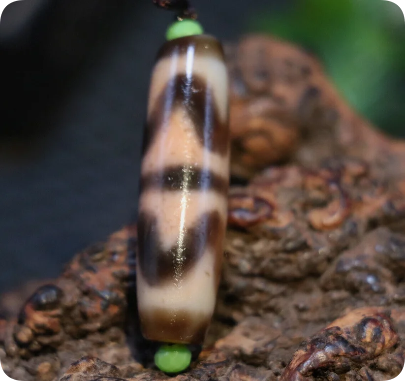 Energy Power Tibetan Old Oily Agate Patina Double Tiger Tooth dZi Bead Amulet 3A