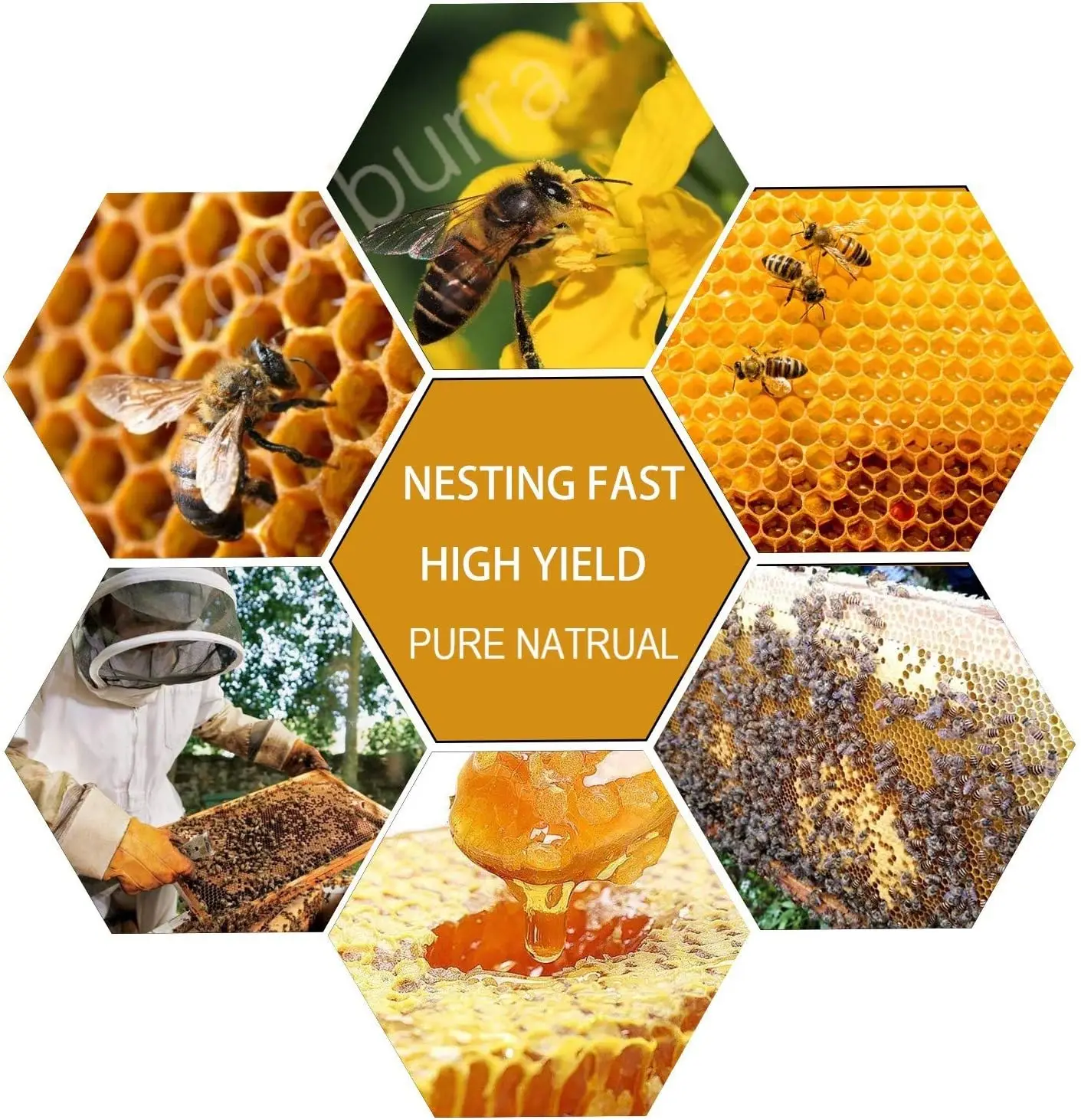 Natural Beekeeping Beeswax Foundation Sheet Honey Comb Bee Wax Foundation
