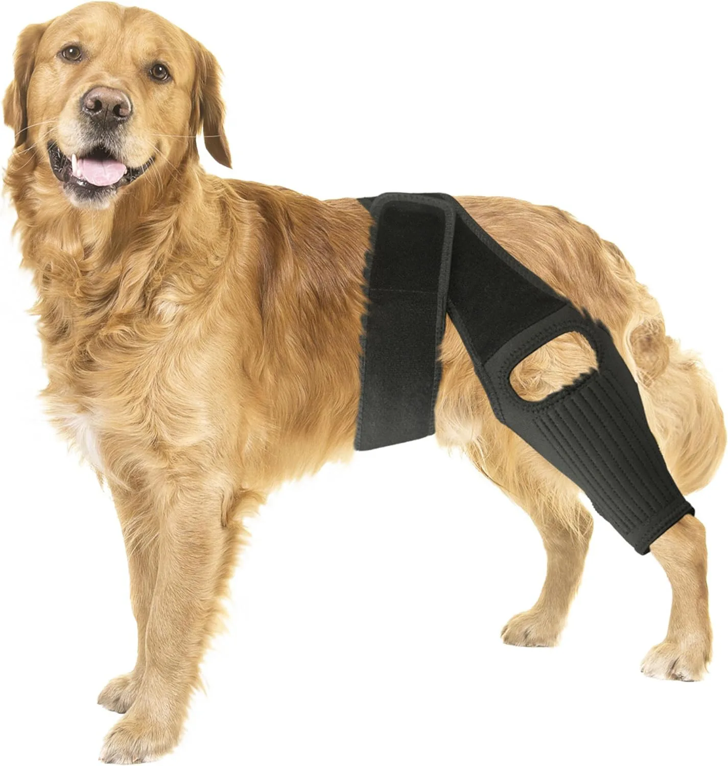 Pet Dog Knee Leg for Joint Injury Recovery Legs Protector, Thigh Brace Wrap, Adjustable Support Belt, Post-operative Fixation