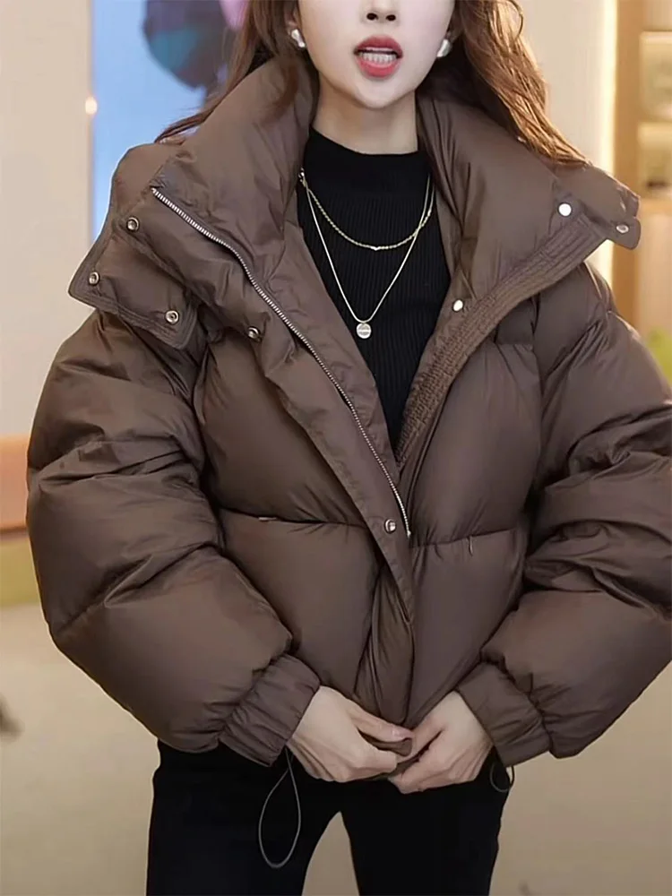 

Женская утепленная куртка-пуховик с капюшоном, короткое пальто в корейском стиле, свободный крой, с хлопковой подкладкой, на длинной молнии