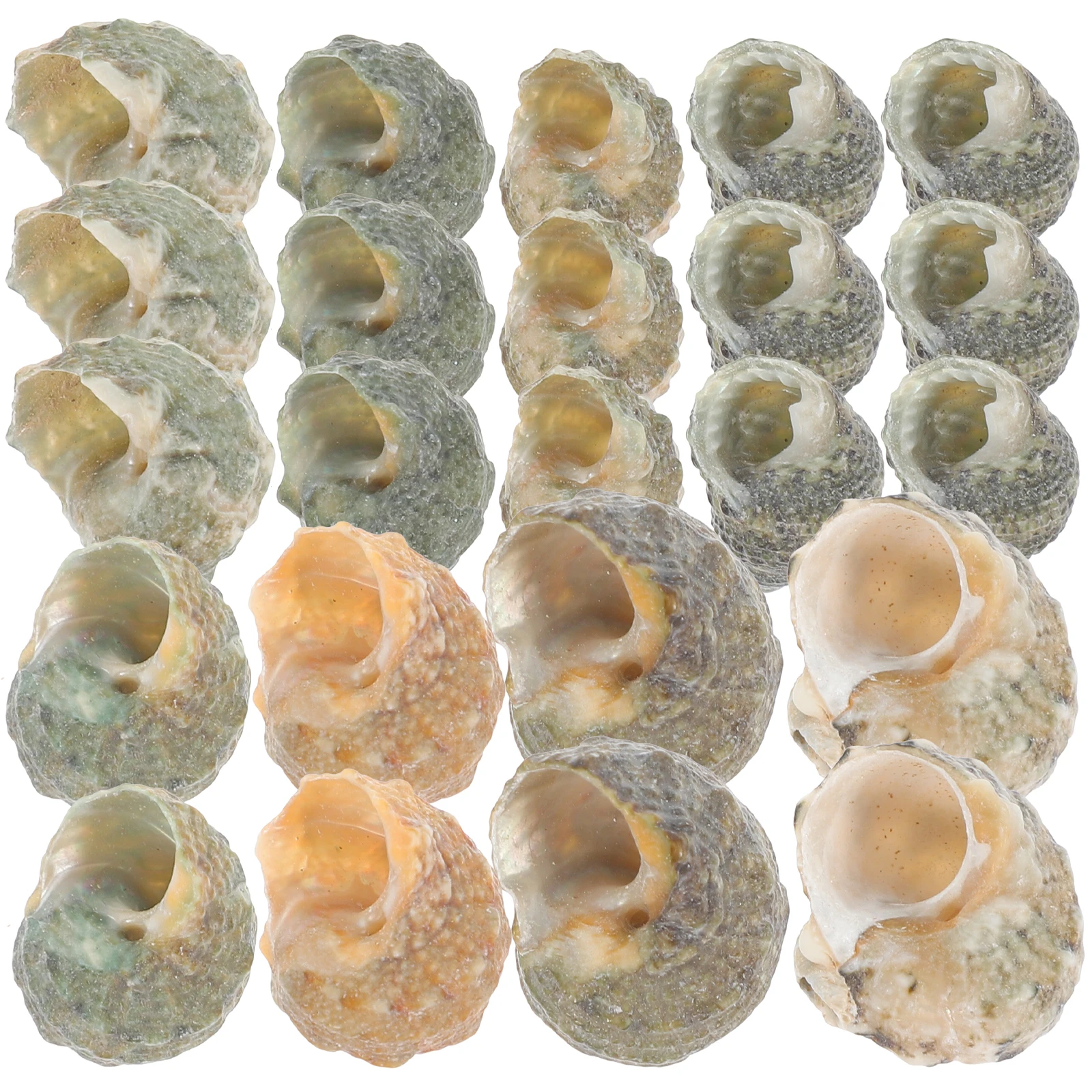 

200pcs Natural Shells 1-1.5cm for Fish Tank Aquarium Conch Craft For Fish Tank Decor Crab Shells Smooth