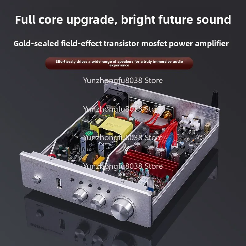 

Gold Sealing Field Effect MOS Transistor Class D Digital Power Amplifier, Hifi Fever High-power Household
