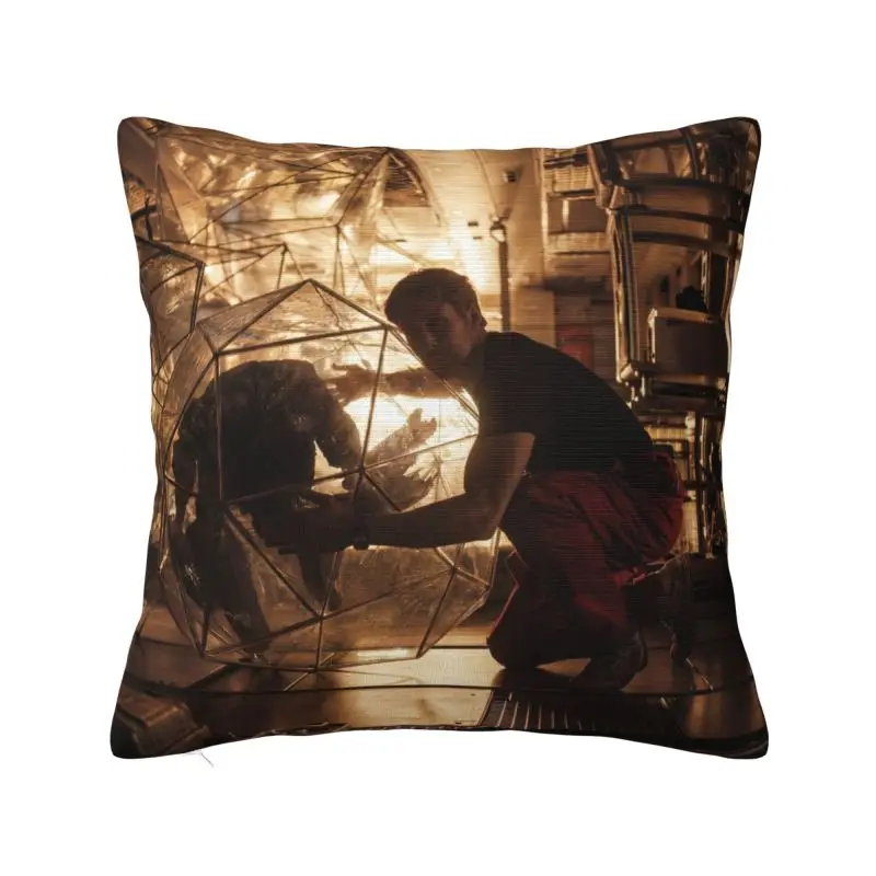 Custom 2026 New Rescue Plan Funny Projects Hail Mary Nordic Throw Pillow Covers Cushion Cover