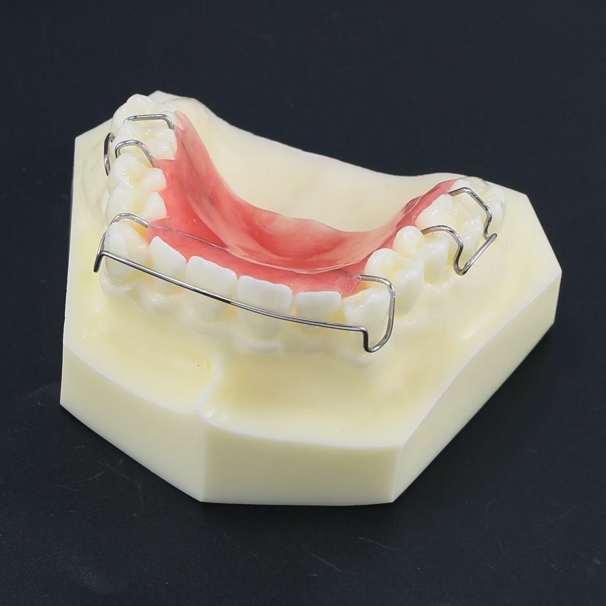 Dental Teeth Model Demonstrates Hawley retainer Teaching Demo Model