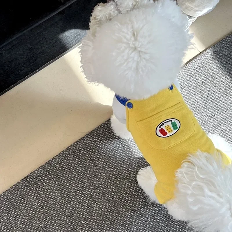 Schattige Zomer Nieuwe Schattige Kleur Blokkerende Casual Dierendraagbroek Puppy Bichon Moerassen Hond Jumpsuit Hondenbroek Kleine Hondenkleding