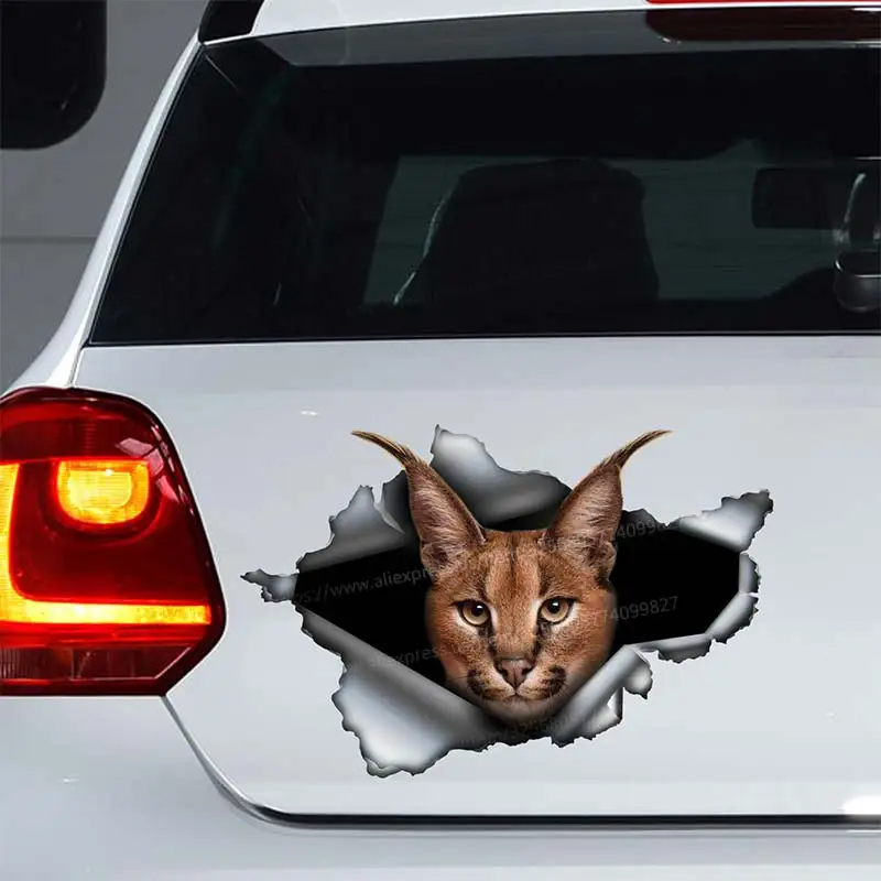 

Ferocious Caracals Animal Car Sticker Waterproof Styling Automobiles Motorcycle Exterior Accessories Vinyl Decals SH140
