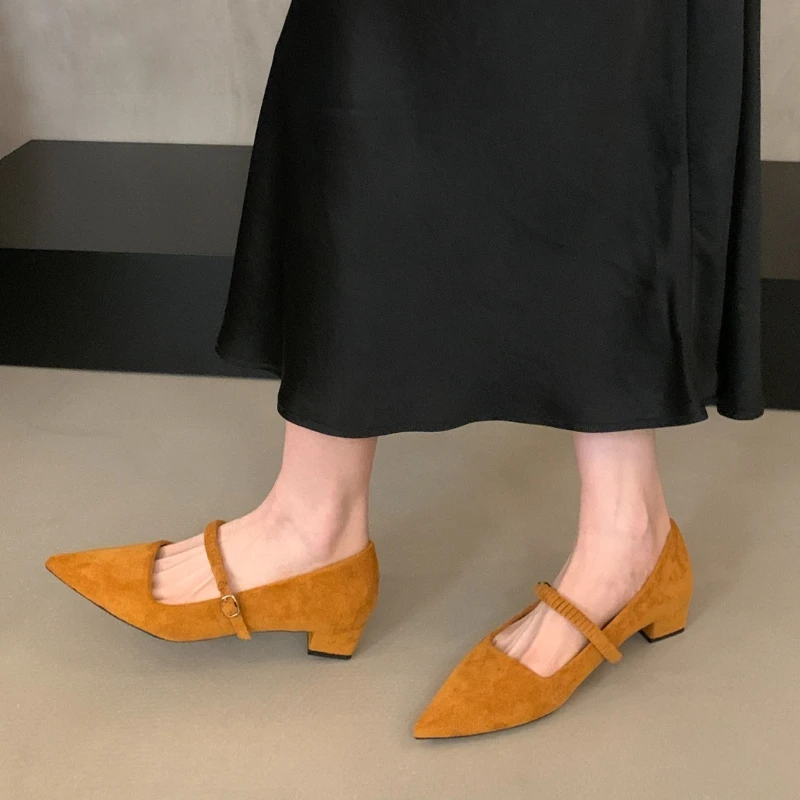 

Женские туфли Мэри Джейн с острым носком, туфли на высоком каблуке, элегантные сандалии, лето 2024, пикантные туфли на массивном каблуке, модельные туфли, неглубокие Zapatos