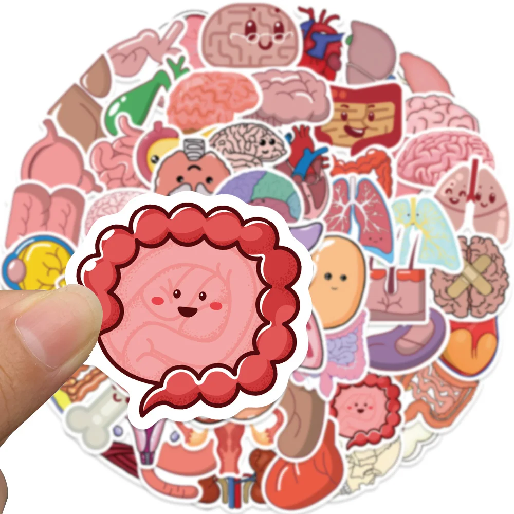 65Pcs Cartoon Human Body Organ Stickers Waterproof Sticker Anatomy Map Decals for Water Bottle Laptop Luggage Phone Kids Toys