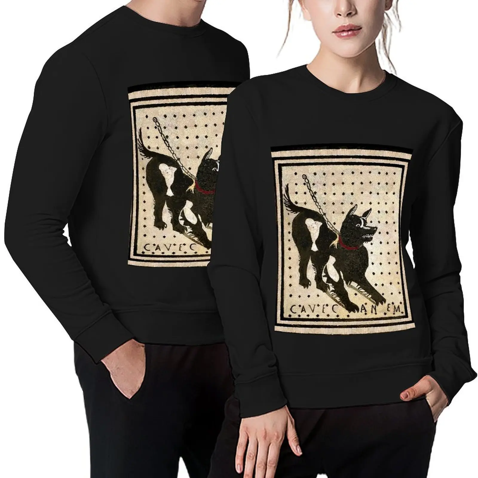 

Beware of dog ( Pompeii dog mosaic ) Pullover male clothes mens clothing autumn jacket men new sweatshirt