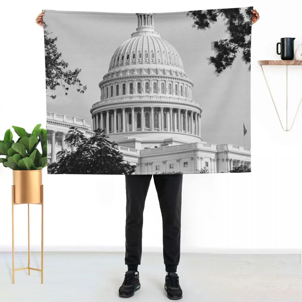 The Capitol Building Washington Throw Blanket decorative Sofa Quilt Loose funny gift Blankets For Baby Blankets