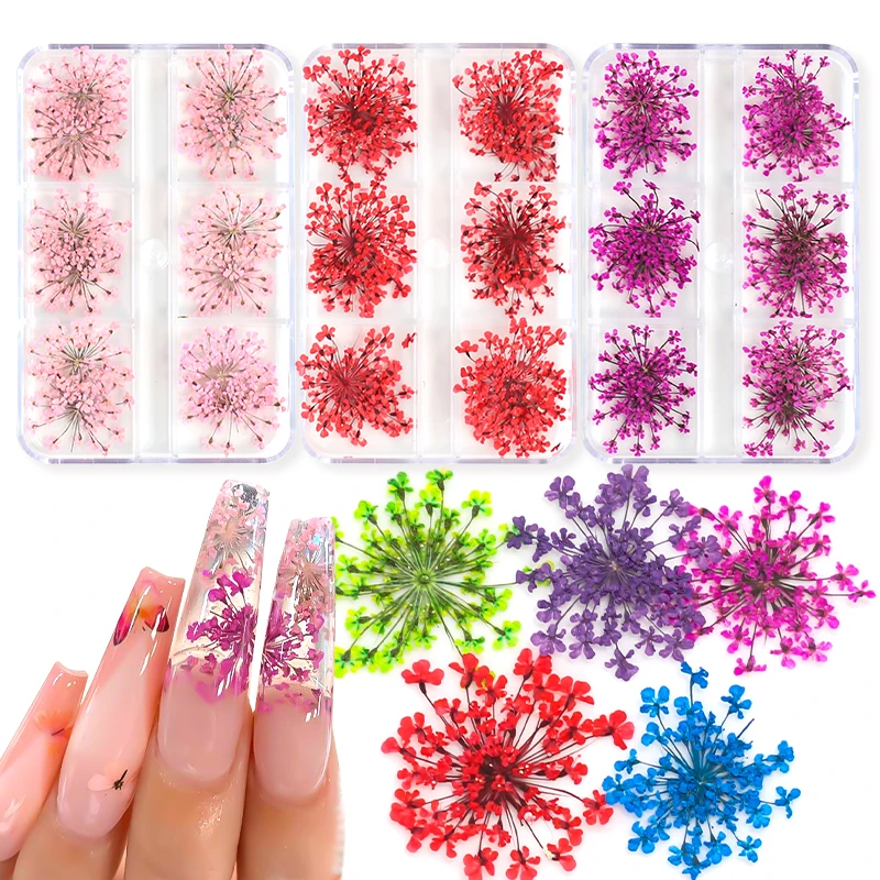 3D trockene Blume Nail Art Dekoration echte Mini getrocknete Blüte Aufkleber natürliche Blumen Charms Designs DIY Maniküre Nägel Zubehör