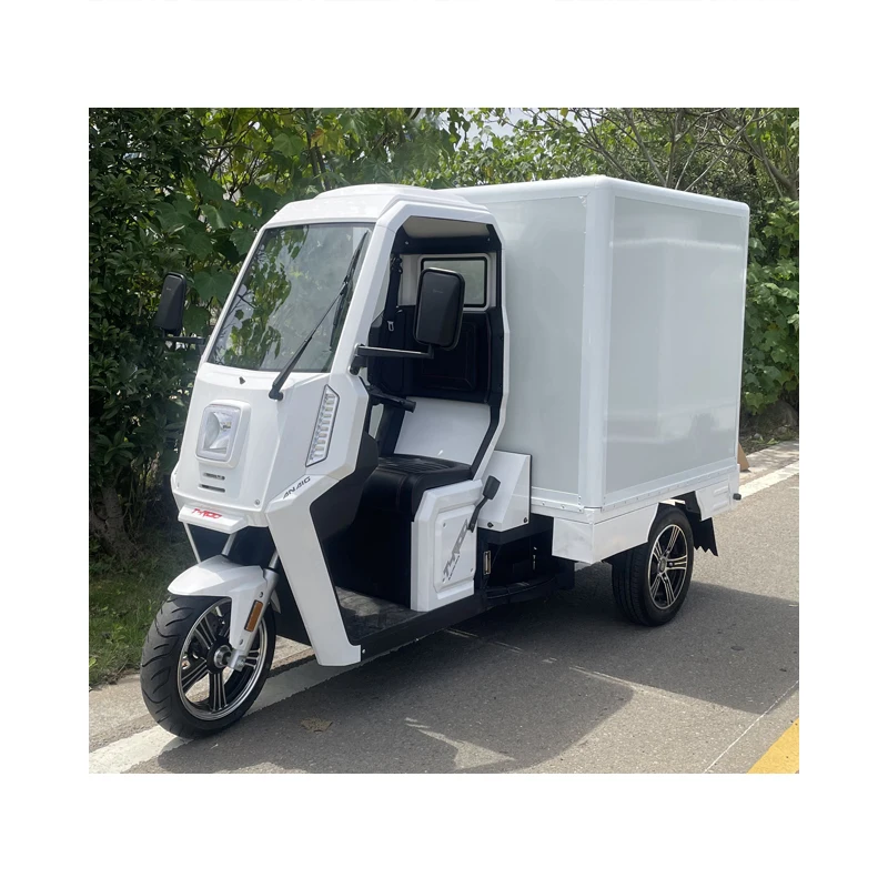 New Manual Control 3-Wheel Electric Tricycle Adults 2kw 3kw 4.5kw Lithium Battery Powered Long Range Cargo Motorcycle Passenger