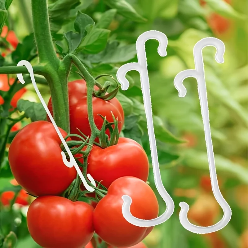 50pcs Plant Support Hooks, Tomato Vine Branch Fixing Hooks, Indoor/Outdoor Potted Plant Gardening Accessories,  Plant Support