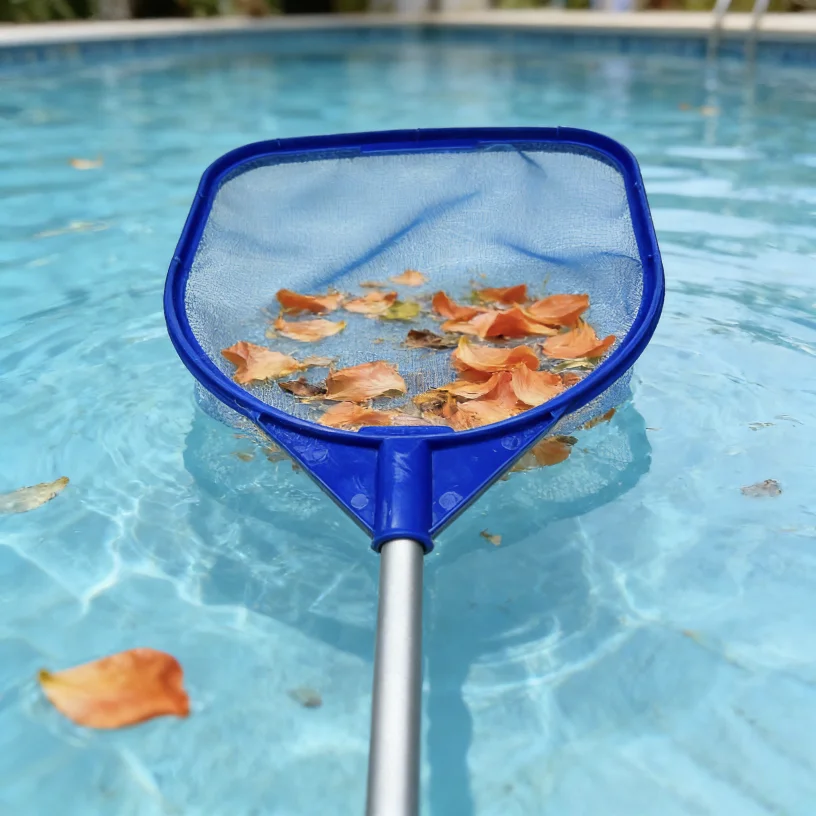 Tragbares Handreinigungswerkze – Pool Skimmer Net Bewertung und Preis